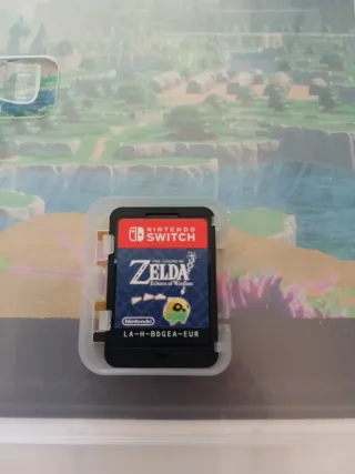 Zelda Echoes of Wisdom Nintendo Switch
