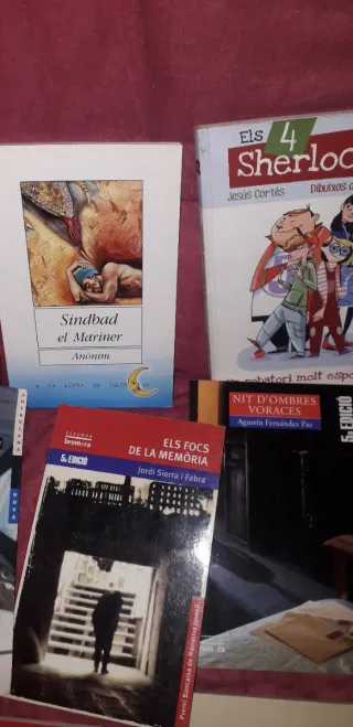 Novelas para E.S.O /primaria