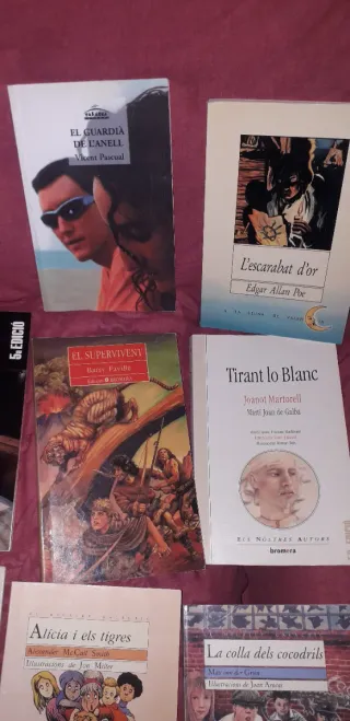 Novelas para E.S.O /primaria