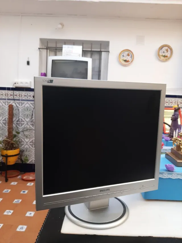 Monitor Philips 170S Plata