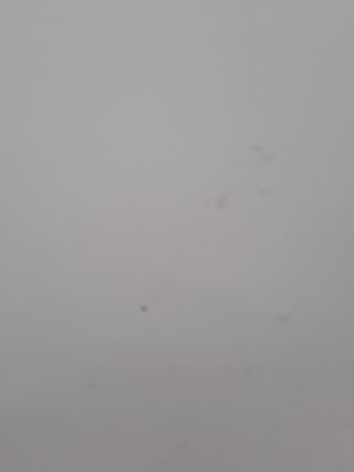 CAPOT RENAULT KANGOO