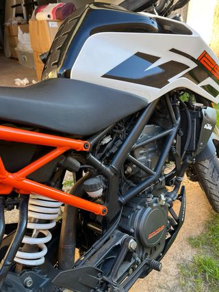 KTM Duke 125cc 2019 Naked