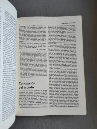 Diccionario de Filosofía Contemporánea