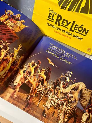 Programa Musical El Rey León