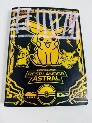 Lote de Cartas Pokémon Álbum