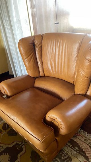 Sofá trisillo y butaca de piel
