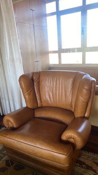 Sofá trisillo y butaca de piel