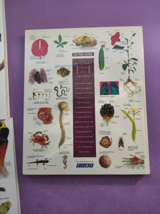 5Enciclopedia Visual de los Seres Vivos