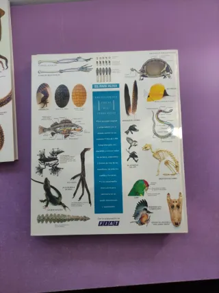 5Enciclopedia Visual de los Seres Vivos