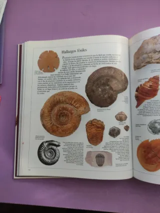 5Enciclopedia Visual de los Seres Vivos
