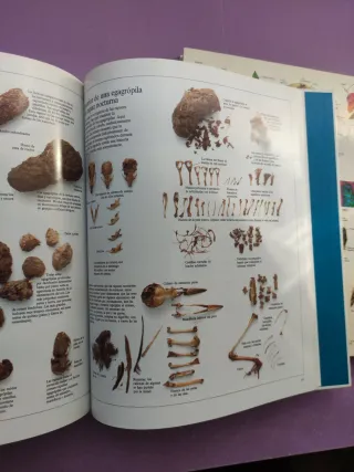 5Enciclopedia Visual de los Seres Vivos