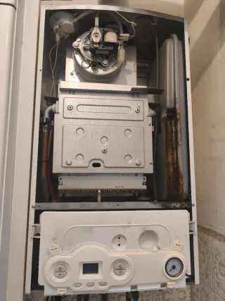 Caldera Fondital Delfis CTFS 24 (Gas Natural) - Le