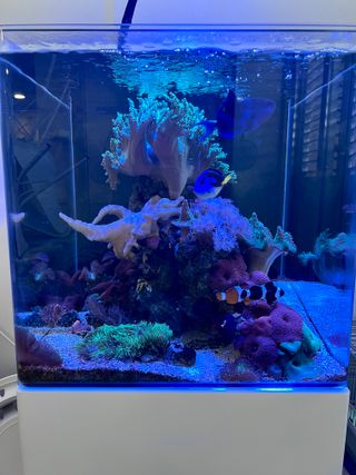 Acuario 100L 45x45cm