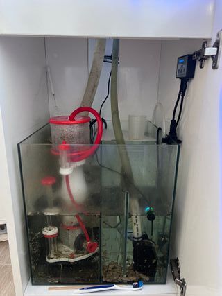 Acuario 100L 45x45cm