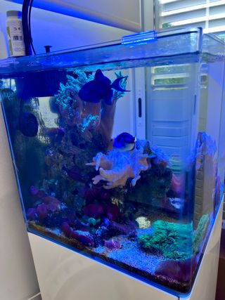 Acuario 100L 45x45cm