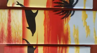 Composición 5 cuadros atardecer y delfines