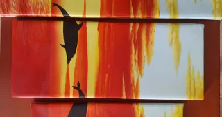 Composición 5 cuadros atardecer y delfines