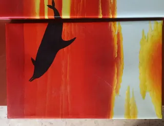 Composición 5 cuadros atardecer y delfines