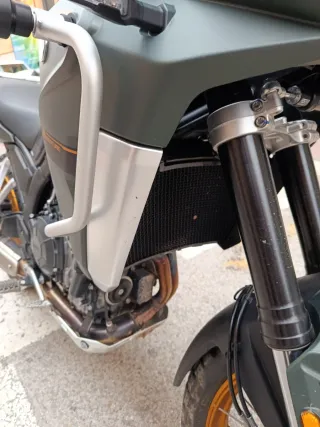 Kove 800 x-pro 2025 Verde