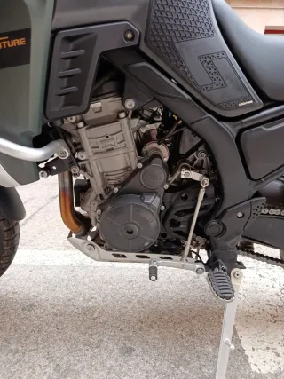 Kove 800 x-pro 2025 Verde