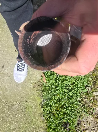 Catalizador Saxo VTS