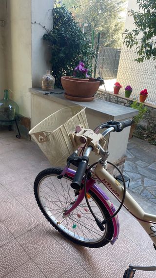 Bicicleta niña 8+ años