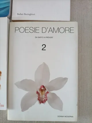 Lotto 6 libri tascabili vari