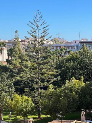 Ático en alquiler en  El Acequión - Los Naúfragos en Torrevieja