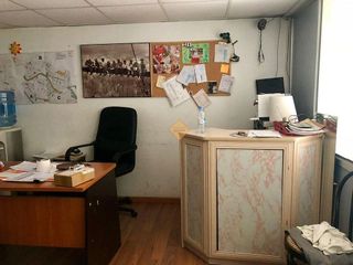 Local comercial en venta en Zona Concordia en Burjassot