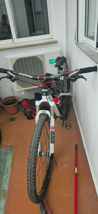 Orbea Occam 29 Bicicleta Montaña