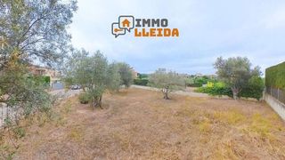 Terreno en venta en Cervera