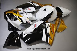 Carenado Completo para KAWASAKI ZX12R 2002 - 2006