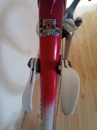 Bicicleta PELISER Carretera