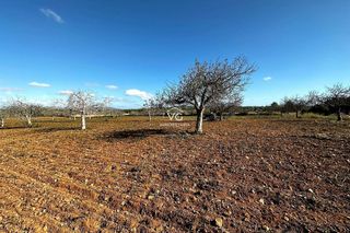 Solar en venta en Manacor Centro en Manacor
