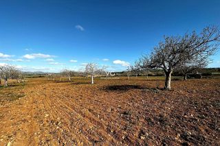Solar en venta en Manacor Centro en Manacor