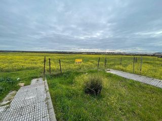 Terreno en venta en Arroyo de la Luz