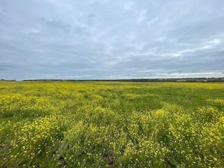 Terreno en venta en Arroyo de la Luz