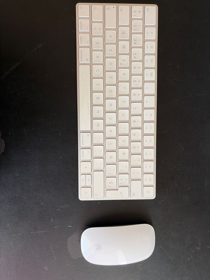 Teclado y Ratón Apple Blanco
