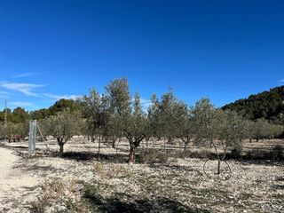 Terreno en venta en Castalla