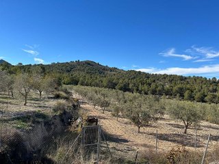 Terreno en venta en Castalla