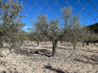 Terreno en venta en Castalla