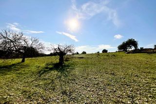 Solar en venta en Son Servera