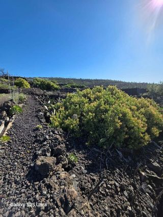 Terreno en venta en Santiago del Teide en Santiago del Teide