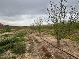 Terreno en venta en Constantí