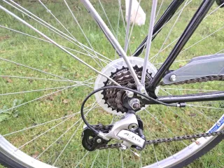 Bicicleta Clásica Italiana Vicini