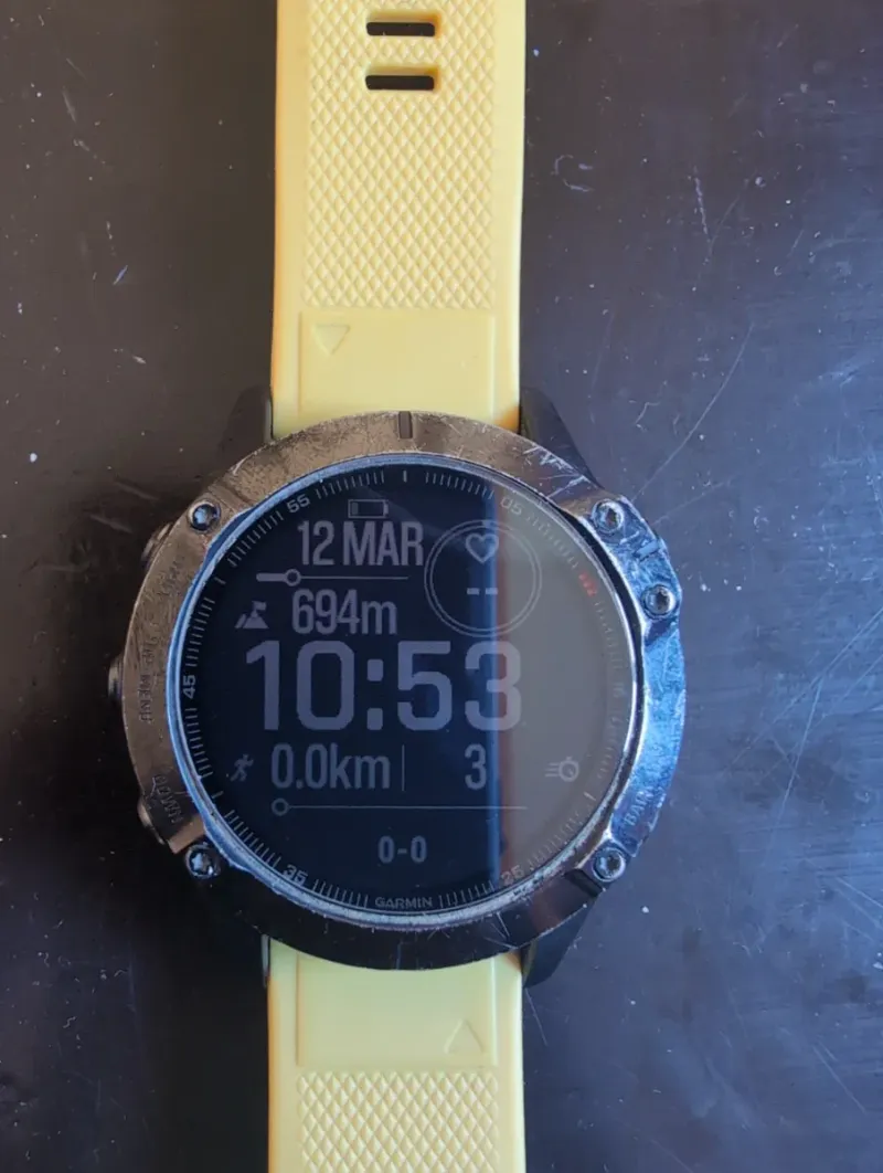 Garmin Fenix 6 Pro Plata/Amarillo
