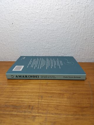 Amar(nos) - Paula Vicent Berlanga