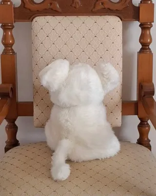 Peluche Topolino Junior Star Bianco Vintage