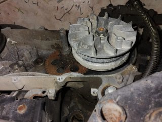 Despiece Daelim NS 125 campana