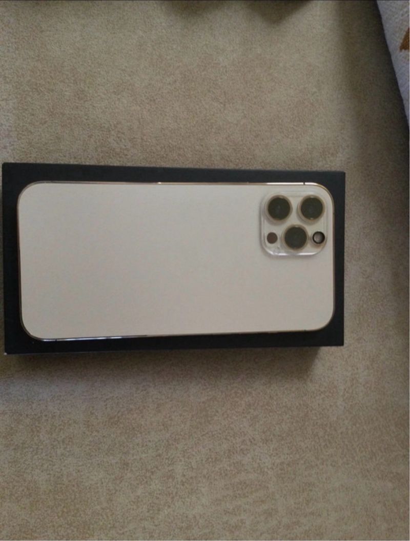 iPhone 12 Pro Max 256GB Oro afbeelding 2